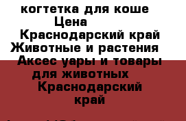 когтетка для коше › Цена ­ 400 - Краснодарский край Животные и растения » Аксесcуары и товары для животных   . Краснодарский край